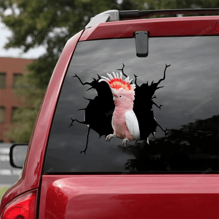 Parrot Crack Car Sticker 09