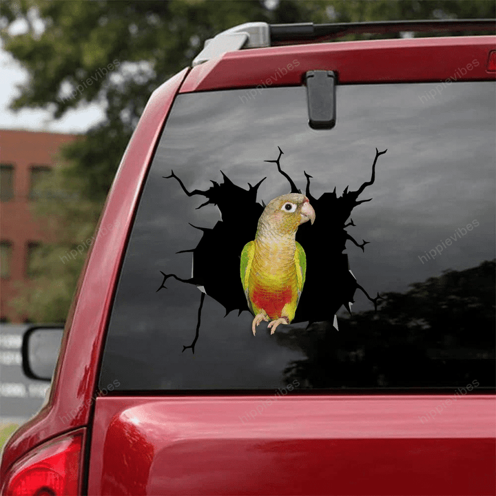 Parrot Crack Car Sticker 24