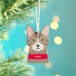 Personalised Cat Hanging Christmas Decoration