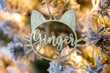 Personalized Cat / Dog Name Christmas Ornaments | Gift Tags