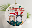 Cat Ornaments, Custom Cats Ornament, Cat Christmas Ornament, On The Naughty List Regret Nothing Ornament, Funny Christmas Gift,Cat Mom Gift