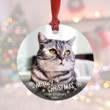 Custom Pet Ornament, Custom Cat Ornament, Pet Ornament, Cat Photo Gift , Custom Christmas, Personalized Pet Ornament, Cat Christmas
