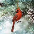 Cardinal Ornament, Bird Ornament, Red Bird Ornament, Cardinal Birds, Christmas Decorations, Cardinal Memorial Christmas Ornament