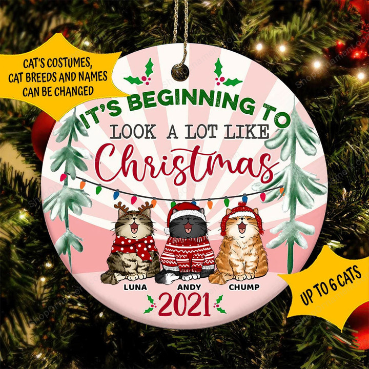 Personalized It&#39;s Beginning To Look A Lot Like Christmas, Christmas Gift, Funny Christmas Decoration,2021 Christmas Ornament, Cat Ornament
