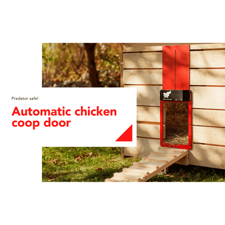 Automatic Chicken Coop Door 🔥 BUY 2 GET FREE SHIPPING 🔥