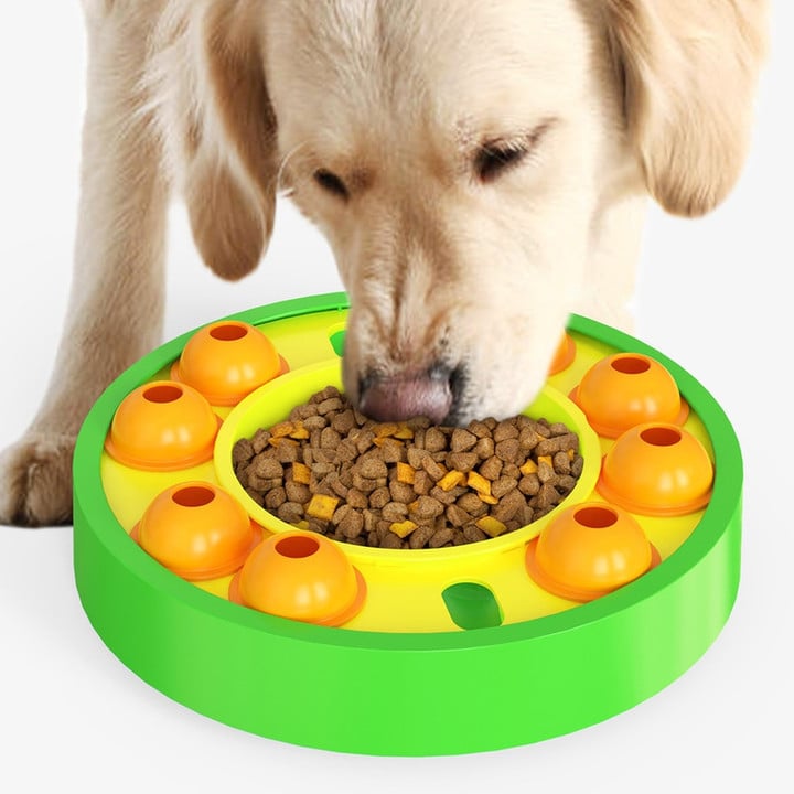 Wisdom Dog Toys Slow Leakage Feeding Training 🔥HOT SALE 50%🔥
