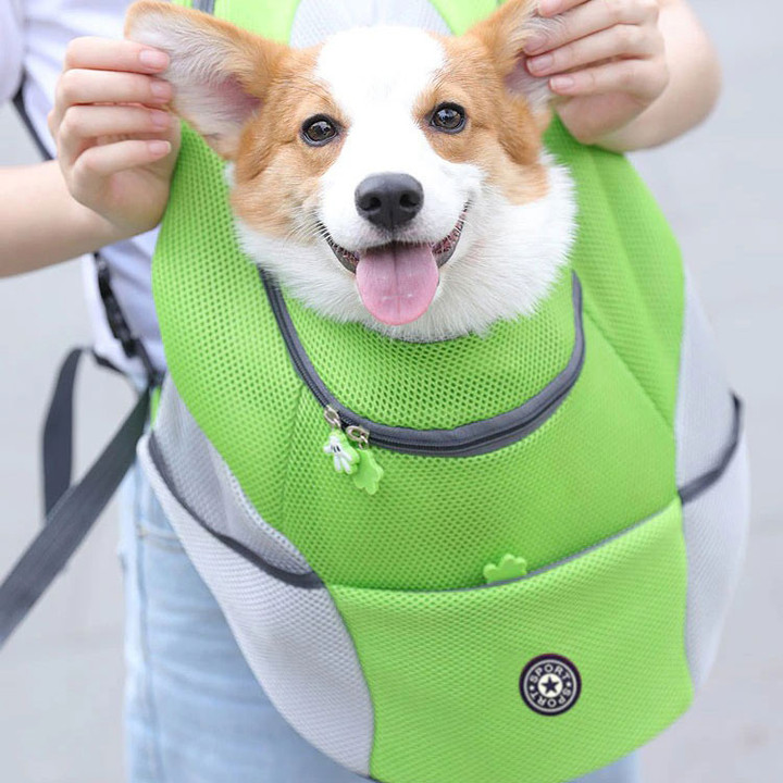 2022 Summer Dog Backpack 🔥HOT SALE 50% OFF🔥