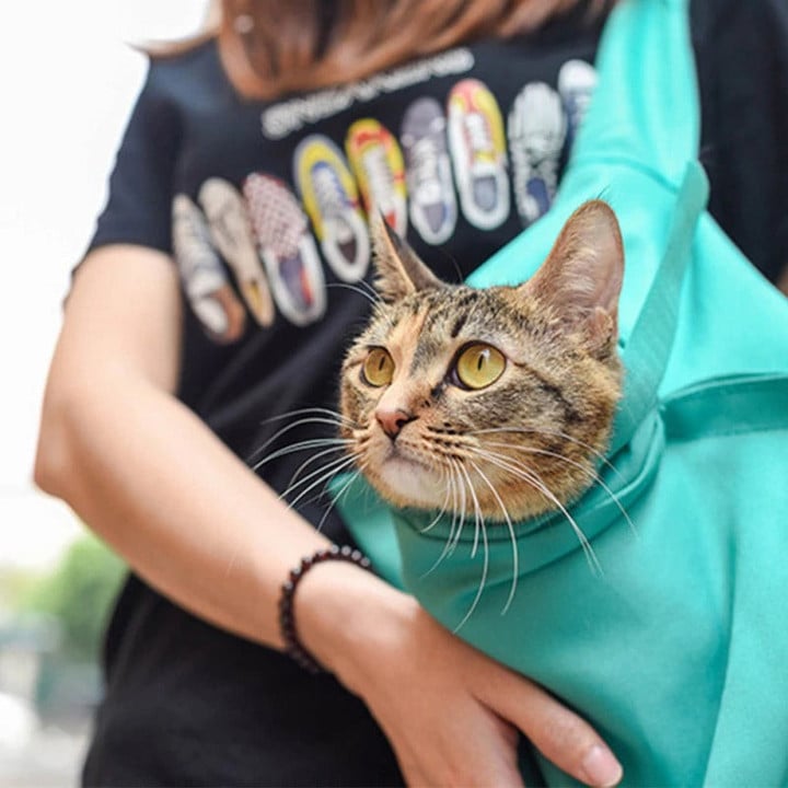 Foldable Cat Carrier Bag 🔥50% OFF - LIMITED TIME ONLY🔥