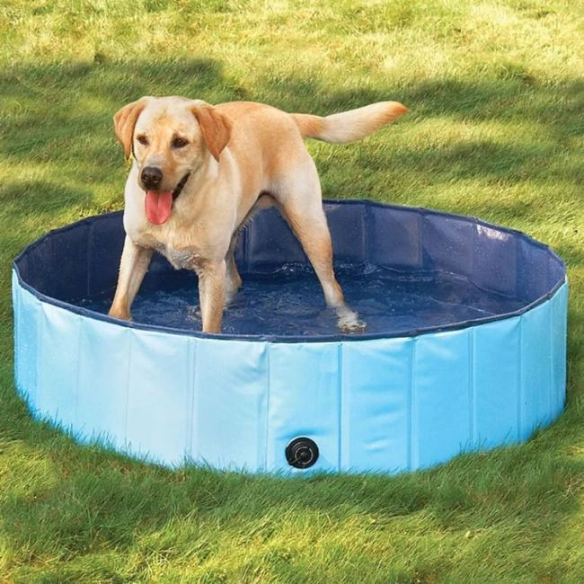 PORTABLE PAW POOL 🔥50% OFF - LIMITED TIME ONLY🔥