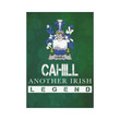 Irish Garden Flag, Cahill Family Crest Shamrock Yard Flag A9