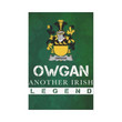 Irish Garden Flag, Duggan Or O'Duggan Family Crest Shamrock Yard Flag A9
