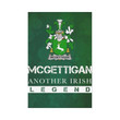 Irish Garden Flag, Mcgettigan Or Gethin Family Crest Shamrock Yard Flag A9