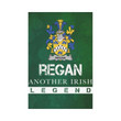 Irish Garden Flag, Regan Or O'Regan Family Crest Shamrock Yard Flag A9