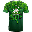 1stIreland Ireland T-Shirt - Hawkins or Haughan Irish Family Crest T-Shirt - Irish Shamrock Triangle Style A7 | 1stIreland