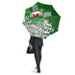 1stireland Umbrellas -  Umbrellas Wales Celtic - Welsh Dragon Flag with Celtic Cross A35