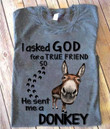 Donkey i asked god for a true friend so he sent me a donkey T shirt hoodie sweater