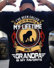 Lion dad and son i've been called a lot of names in mt lifetime but grandpa is my favorite T Shirt Hoodie Sweater