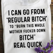 I Can Go From Regular Bitch To Burn Thsi Whole Mother Fucker Down Bitch Real Quick T Shirt Hoodie Sweater