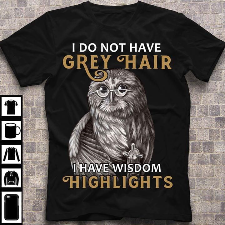 Owl I do not have grey hair I have wisdom highlights T Shirt Hoodie Sweater