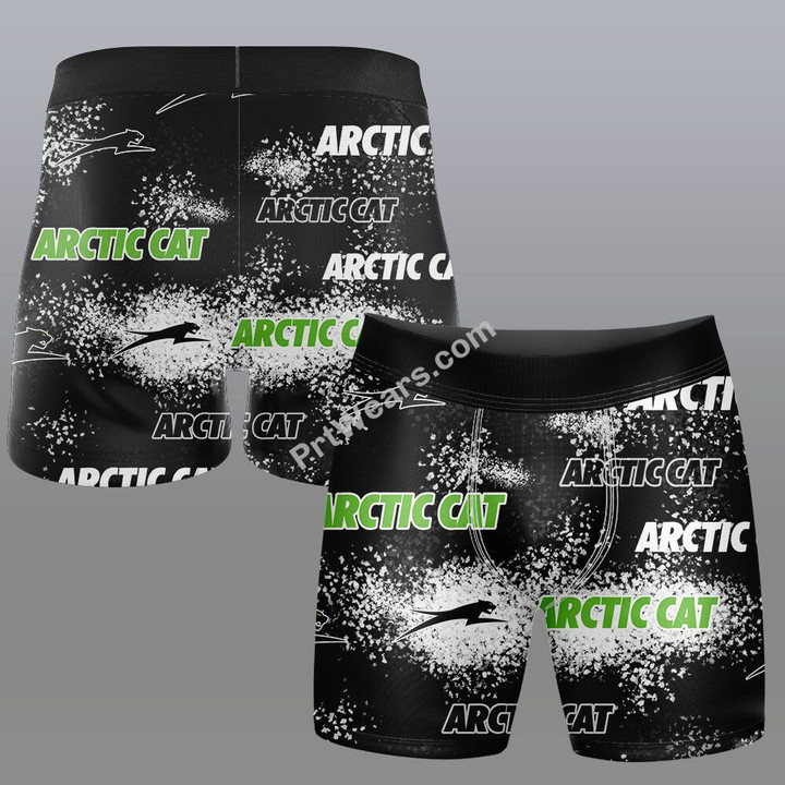 Arctic Cat 3DG0201