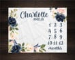Personalized Pink and Navy Floral Monthly Milestone Blanket, Newborn Blanket, Baby Shower Gift Adventure Awaits Monthly Growth
