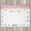 Personalized Pink Floral Garden Monthly Milestone Blanket, Newborn Blanket, Baby Shower Gift Track Growth And Age Monthly