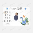 Personalized Dinosaur Monthly Milestone Blanket, Newborn Blanket, Baby Shower Gift Grow Chart Monthly