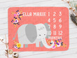 Personalized Elephant Floral Monthly Milestone Blanket, Newborn Blanket, Baby Shower Gift Watch Me Grow Monthly