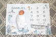 Personalized Sea Life Monthly Milestone Blanket, Newborn Blanket, Baby Shower Gift Track Growth And Age Monthly