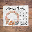 Personalized Animals Monthly Milestone Blanket, Newborn Blanket, Baby Shower Gift Grow Chart Monthly