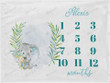 Personalized Elephant Monthly Milestone Blanket, Newborn Blanket, Baby Shower Gift Track Growth Keepsake