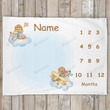 Personalized Teddy Bear Monthly Milestone Blanket, Newborn Blanket, Baby Shower Gift Grow Chart Monthly