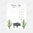 Personalized Bison Buffalo & Cactus Monthly Milestone Blanket, Newborn Blanket, Baby Shower Gift Track Growth Keepsake