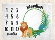 Personalized Lion Monthly Milestone Blanket, Newborn Blanket, Baby Shower Gift Adventure Awaits Monthly Growth