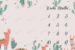Cactus Monthly Milestone Blanket, Newborn Blanket, Baby Shower Gift Adventure Awaits Monthly Growth