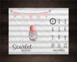 Personalized Gray Stripes Monthly Milestone Blanket, Newborn Blanket, Baby Shower Gift Track Growth And Age Monthly