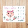 Personalized Lovely Pink Bear Monthly Milestone Blanket, Newborn Blanket, Baby Shower Gift Track Growth And Age Monthly