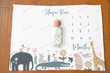 Personalized Safari Animal Monthly Milestone Blanket, Newborn Blanket, Baby Shower Keepsakes Gift