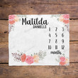 Personalized Flower Monthly Milestone Blanket, Newborn Blanket, Baby Shower Gift Watch Me Grow Monthly
