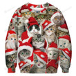 Adorable Cat With Red Hat Christmas Ugly Sweater