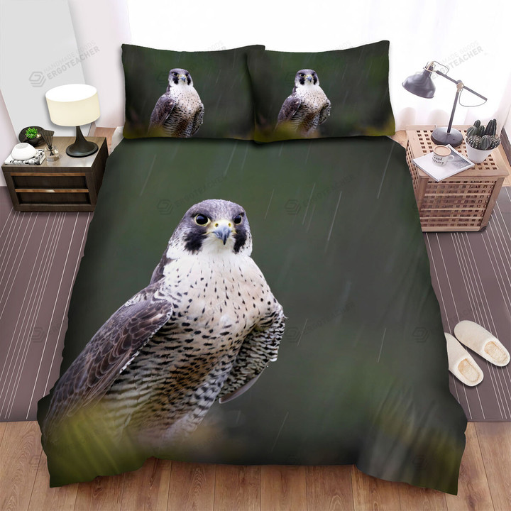 The Falcon In The Rain Bed Sheets Spread Duvet Cover Bedding Sets