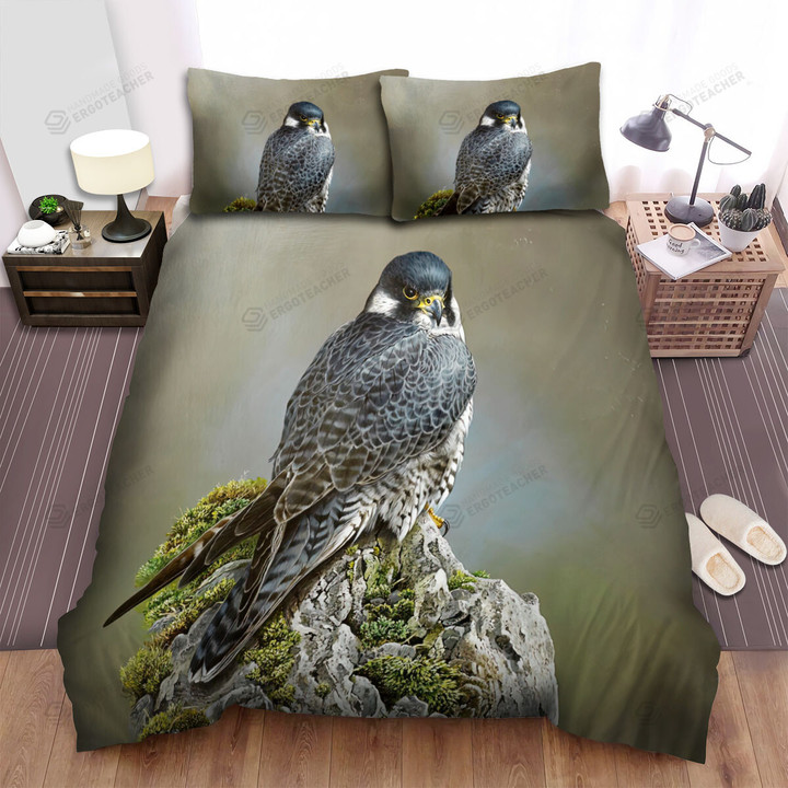 The Hunting Bird - Falcon Standing On The Mountain Art Bed Sheets Spread Duvet Cover Bedding Sets
