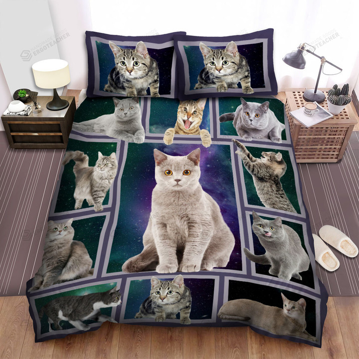 Grey Cat Funny Cat Cat Galaxy Space English Shorthaired Cat And Domestic Shorthaired Cat Bed Sheets Spread Duvet Cover Bedding Sets