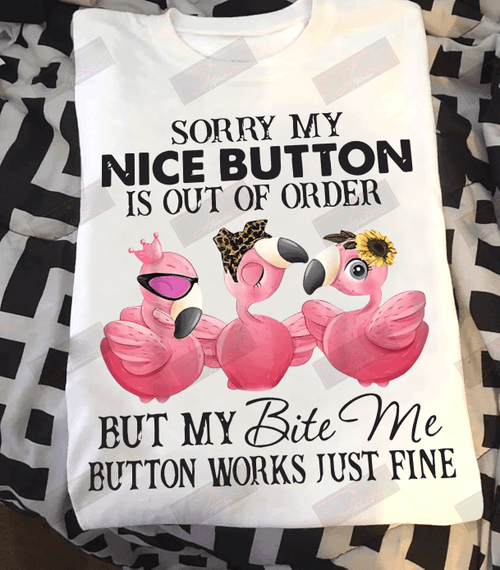 Sorry My Nice Button Is Out Of Order T-shirt