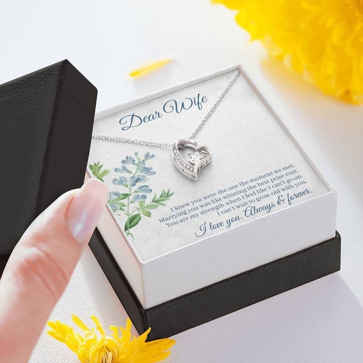 DEAR WIFE "THE ONE" FOREVER LOVE NECKLACE GIFT SET