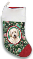 Excellent Goldendoodle White Christmas Gift Christmas Stocking Candy Cane Dark Green And Red