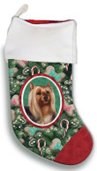 Adorable Silky Terrier Christmas Stocking Christmas Gift Green And Red Candy Cane Bone