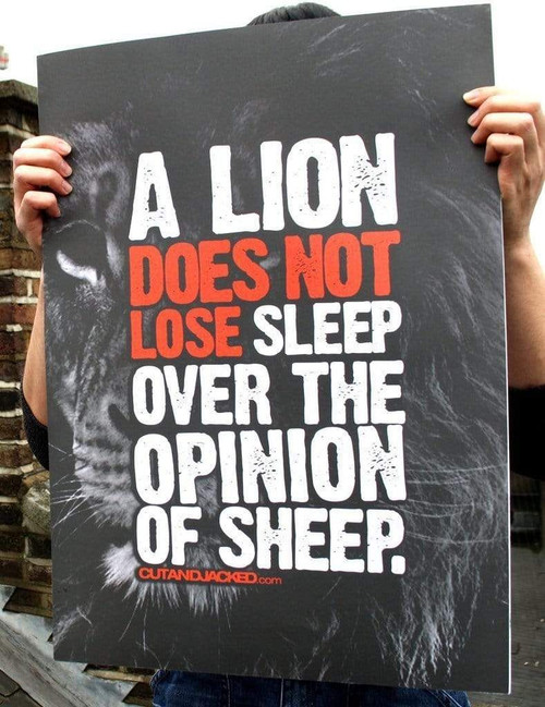 2 Lions Don't Lose Sleep Over Opinions Of Sheep Canvas Prints