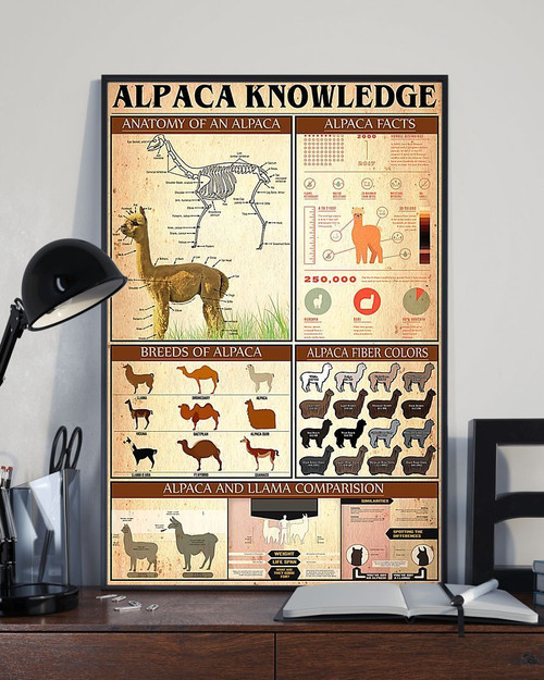 Alpaca Knowledge Vertical Canvas And Poster - Wall Decor Visual Art