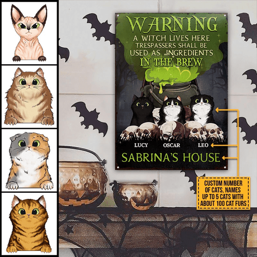 Warning A Witch Lives Here Cat Magical Things Are Crafted Custom Classic Metal Signs, Personalized Witch Sign